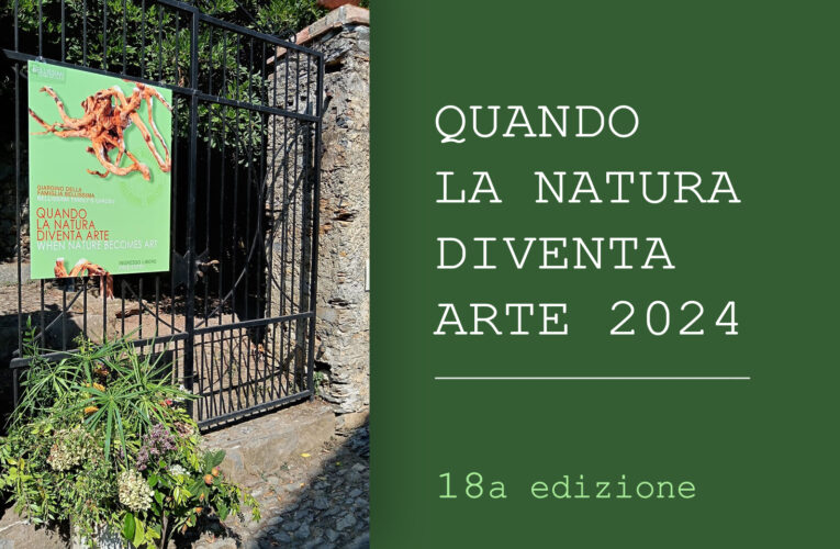 Quando la Natura diventa Arte. Video-immagini 2024